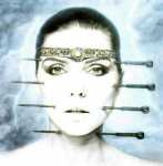 normal_1710 (Medium).jpg